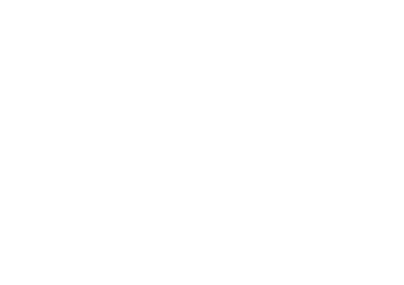 Electric Motorbikes